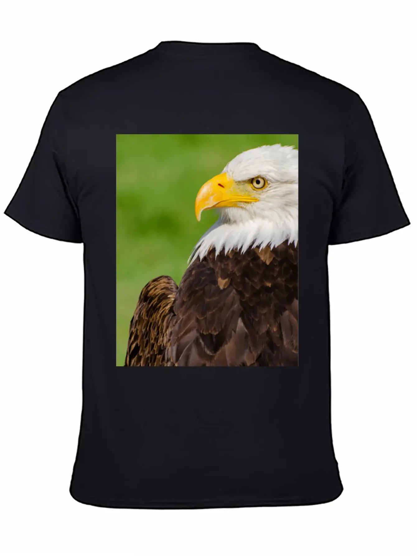 Profile Of A Bald Eagle Resting On A Sunny Day Lightweight Cotton T-Shirt – Daily Comfort Graphic Shirt