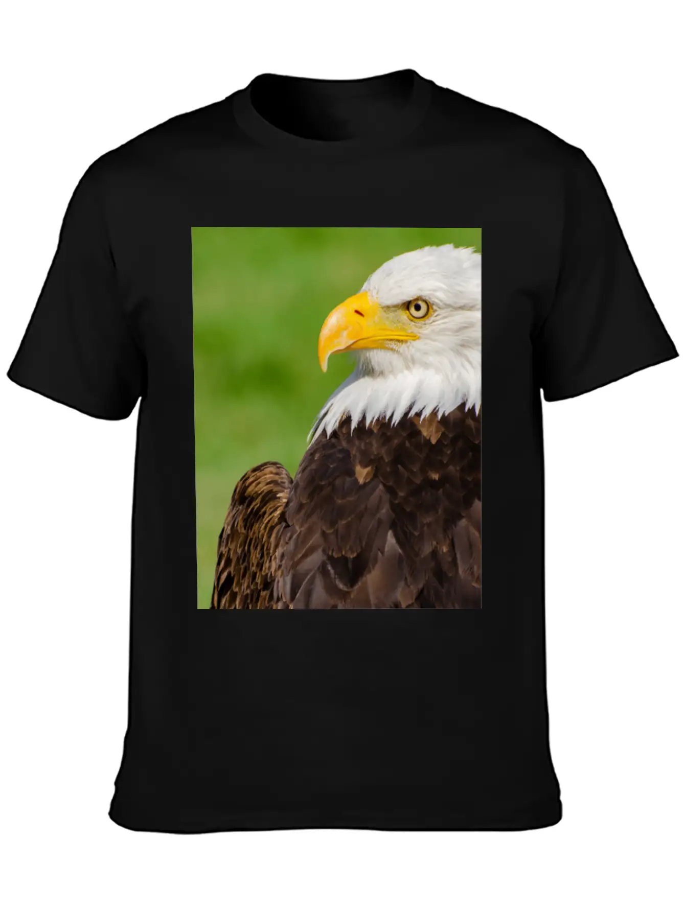 Profile Of A Bald Eagle Resting On A Sunny Day Lightweight Cotton T-Shirt – Daily Comfort Graphic Shirt