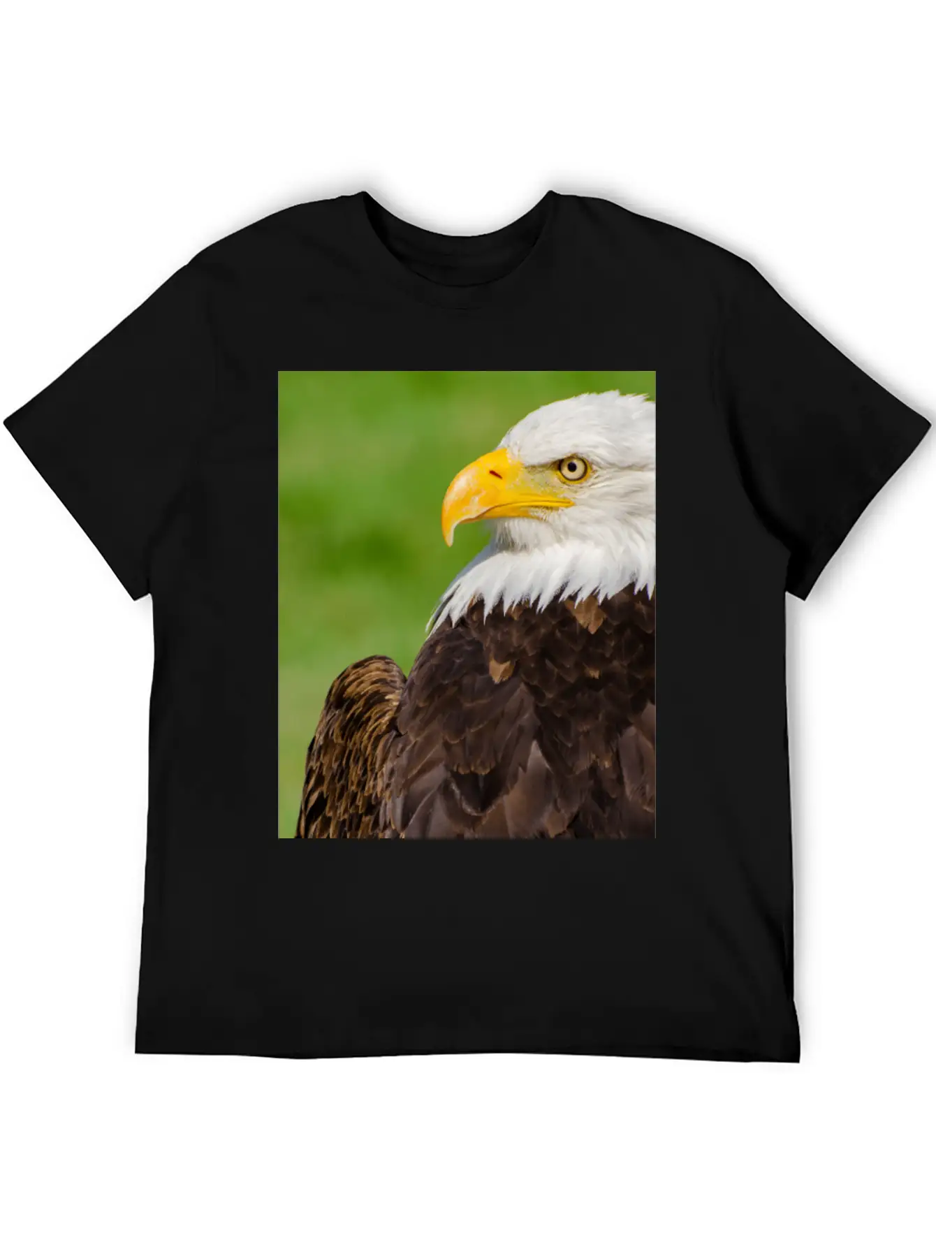Profile Of A Bald Eagle Resting On A Sunny Day Lightweight Cotton T-Shirt – Daily Comfort Graphic Shirt