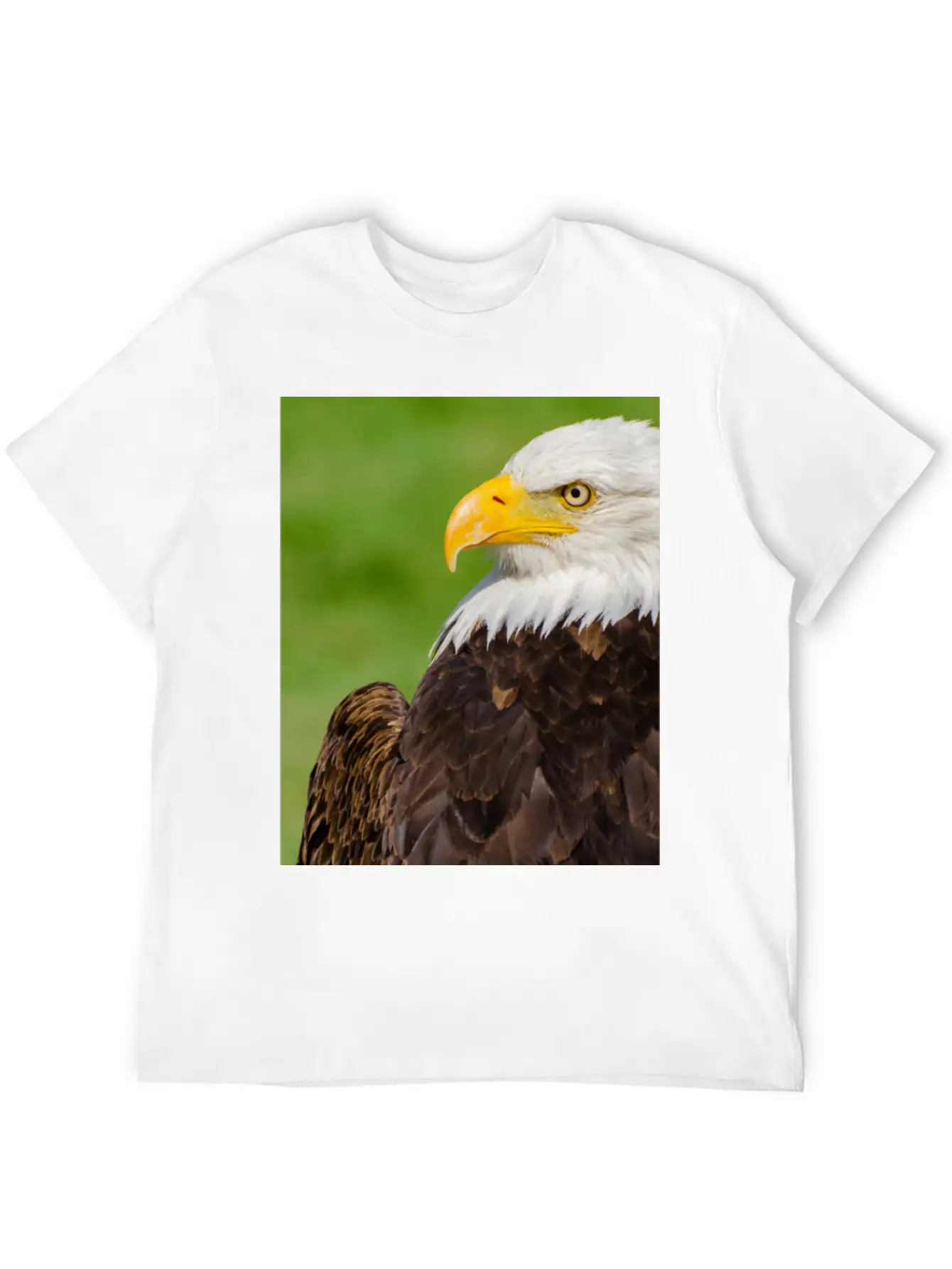 Profile Of A Bald Eagle Resting On A Sunny Day Lightweight Cotton T-Shirt – Daily Comfort Graphic Shirt