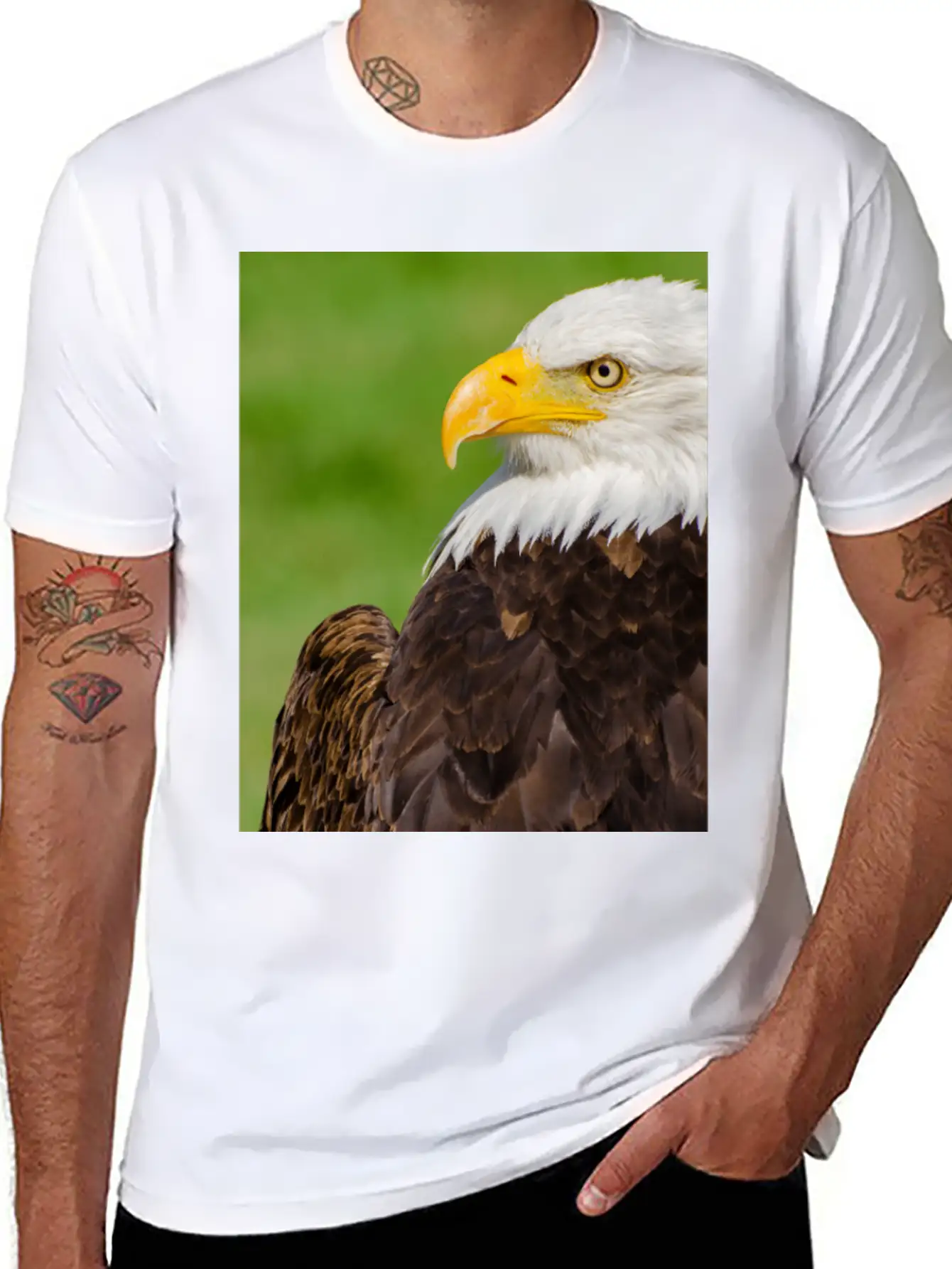 Profile Of A Bald Eagle Resting On A Sunny Day Lightweight Cotton T-Shirt – Daily Comfort Graphic Shirt