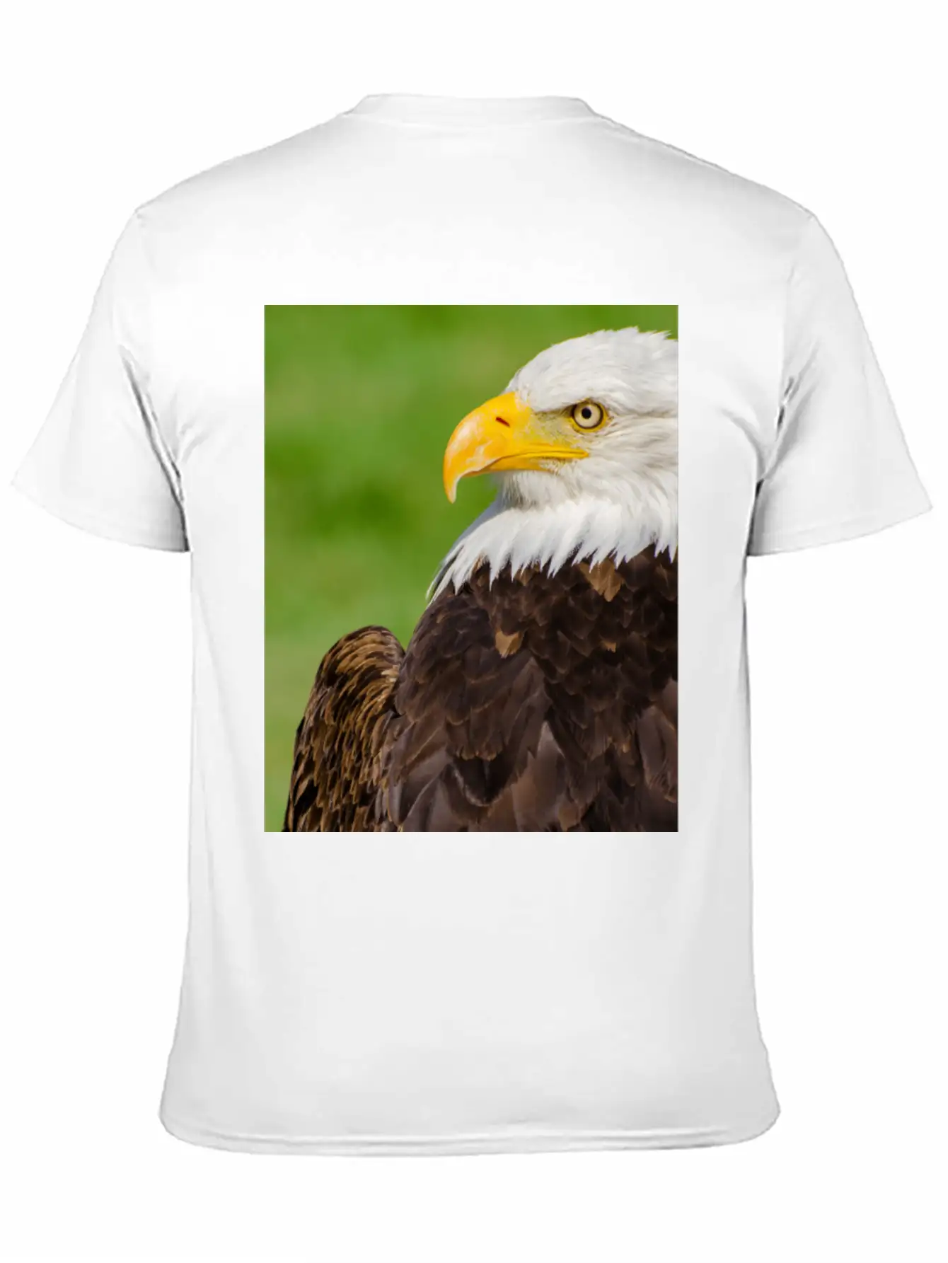 Profile Of A Bald Eagle Resting On A Sunny Day Lightweight Cotton T-Shirt – Daily Comfort Graphic Shirt
