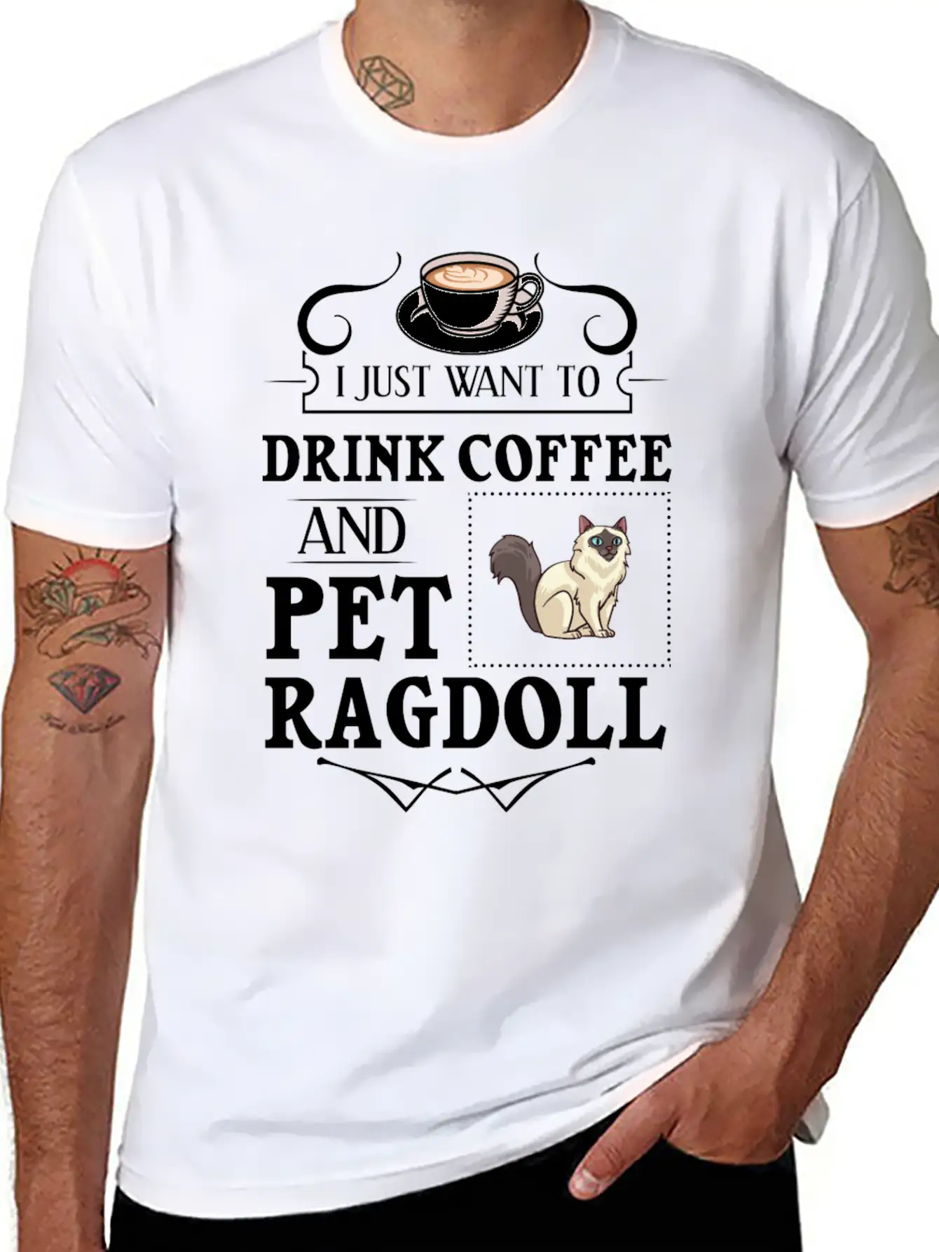 Ragdoll Cat Gift Kitten Owner Lover Modern Fit Casual T-Shirt – Clean And Versatile Design