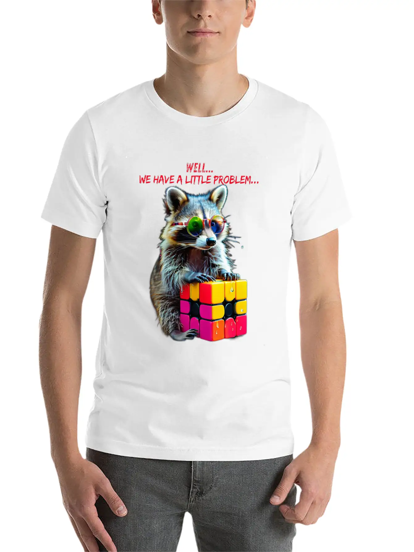 Rubik's Cube And Raccoon Shirt A Small Problem Unisex Casual T-Shirt – Clean Design For Daily Comfort