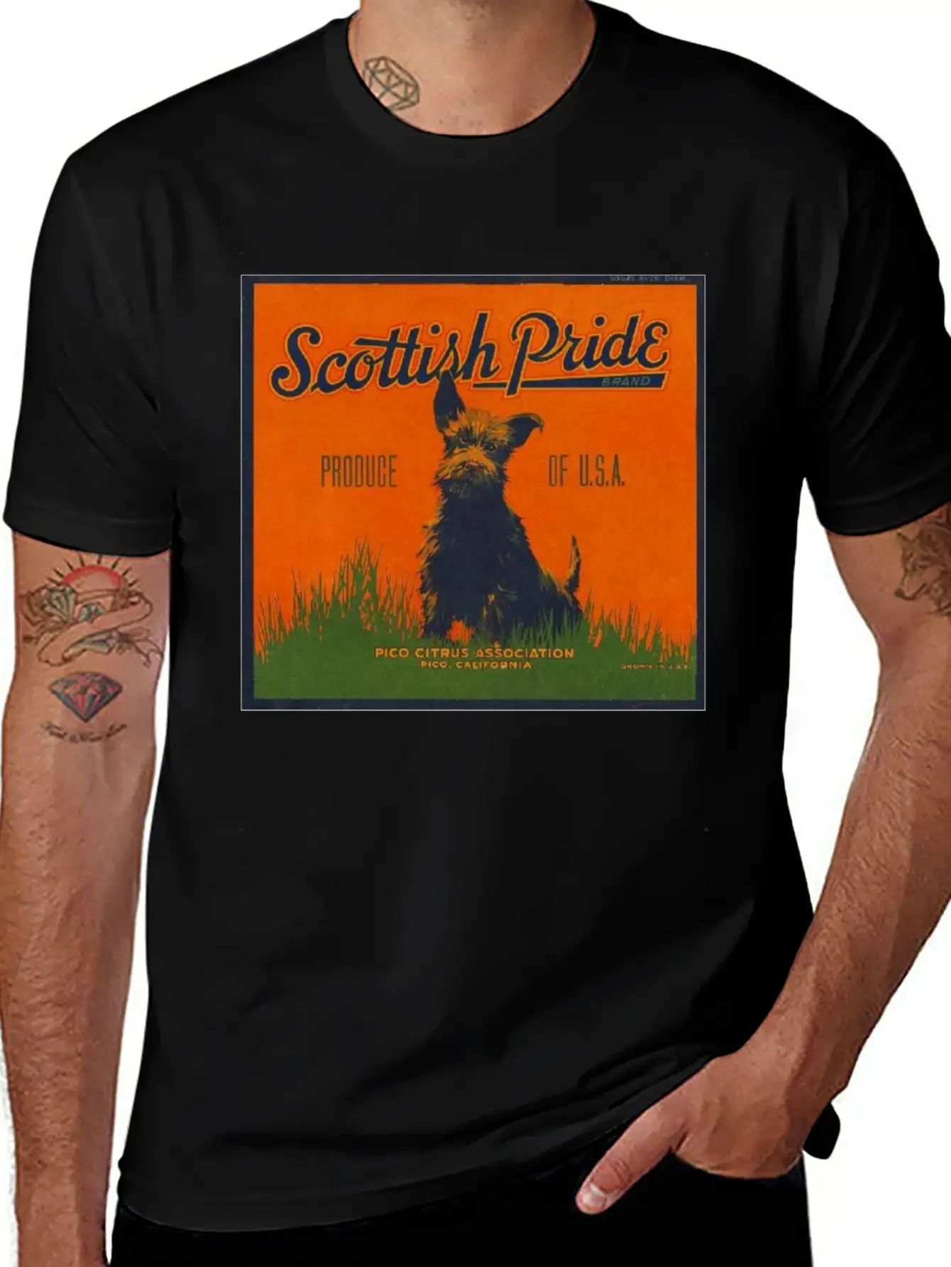 SCOTTISH PRIDE Modern Fit Casual T-Shirt – Clean And Versatile Design