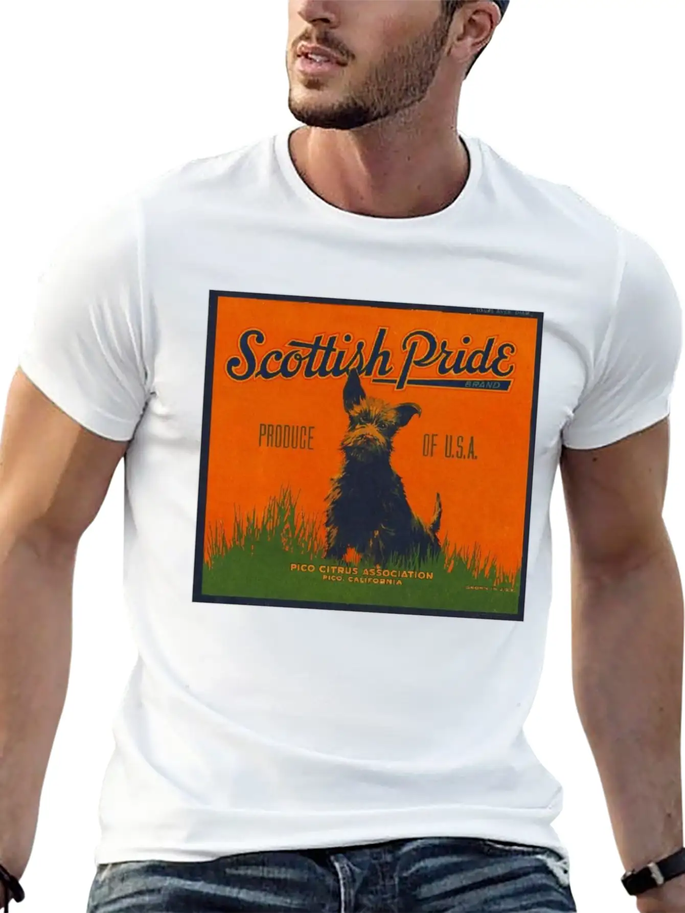 SCOTTISH PRIDE Modern Fit Casual T-Shirt – Clean And Versatile Design