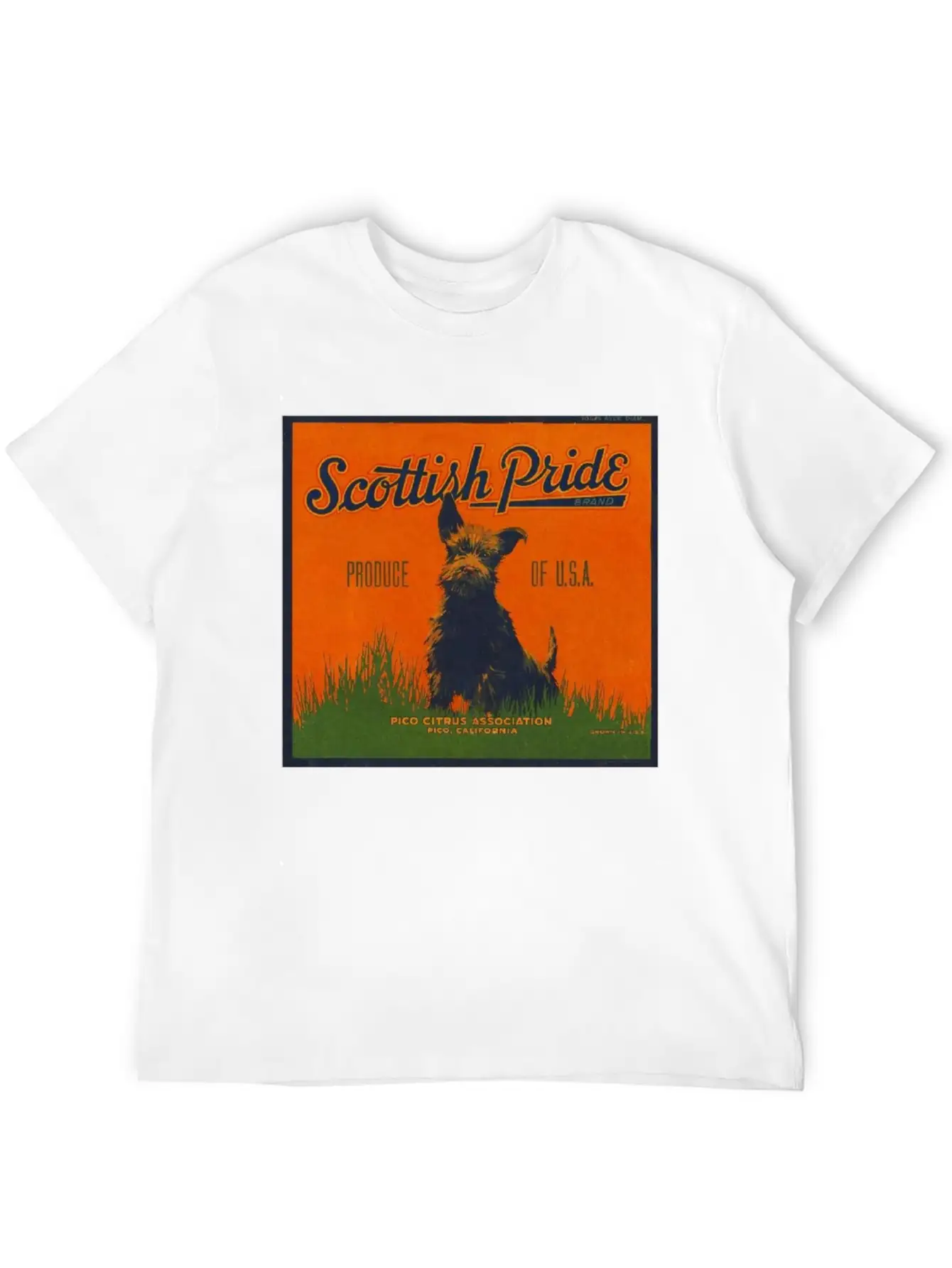 SCOTTISH PRIDE Modern Fit Casual T-Shirt – Clean And Versatile Design