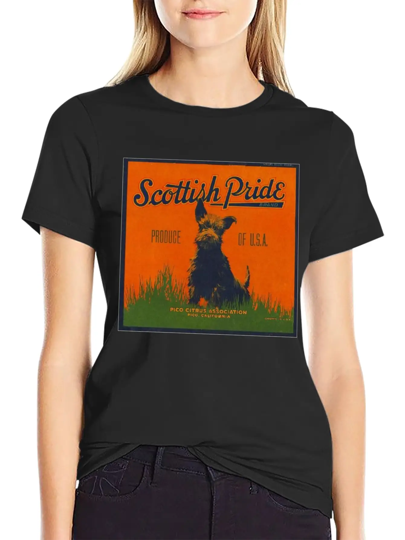 SCOTTISH PRIDE Modern Fit Casual T-Shirt – Clean And Versatile Design