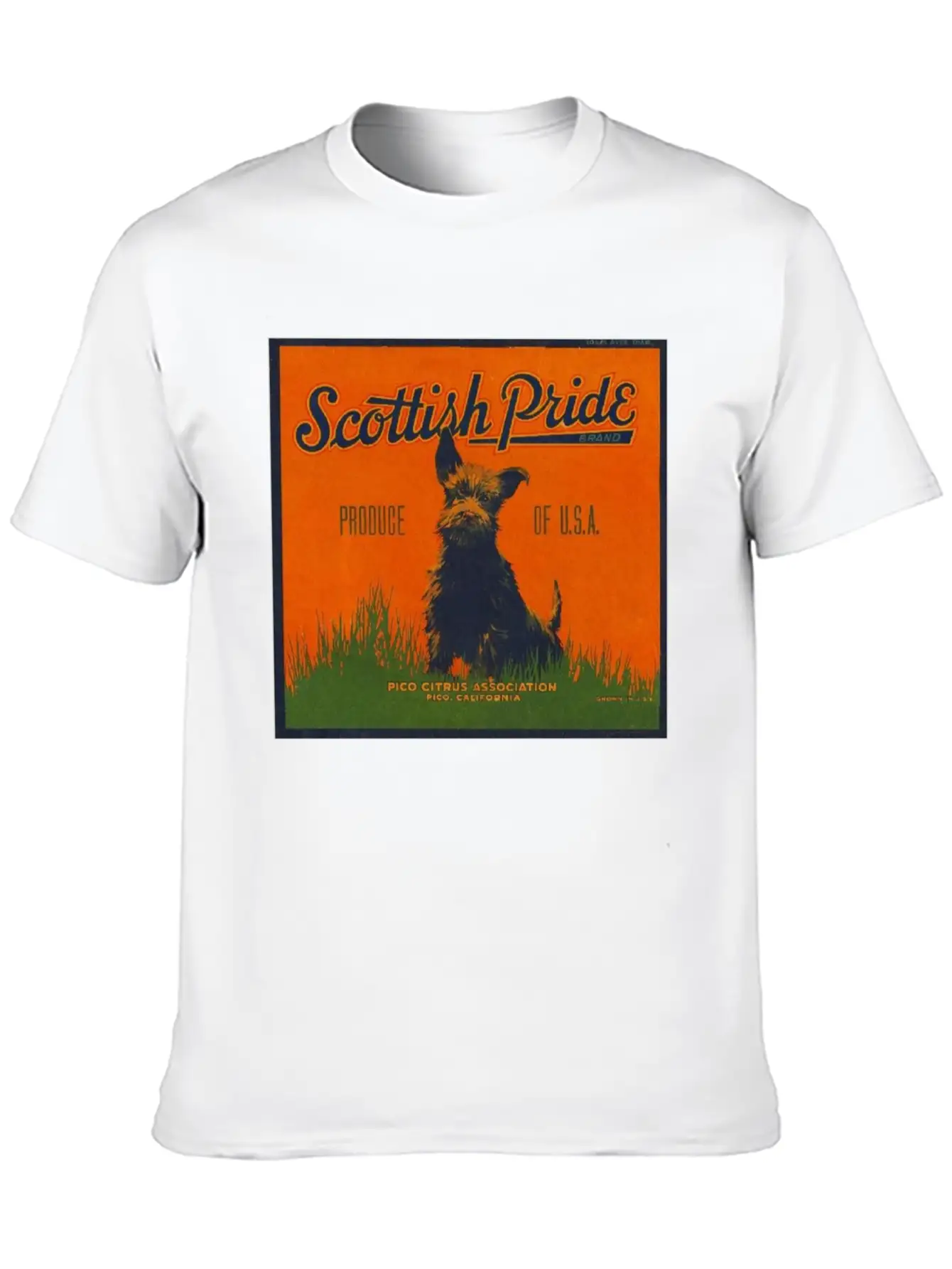 SCOTTISH PRIDE Modern Fit Casual T-Shirt – Clean And Versatile Design
