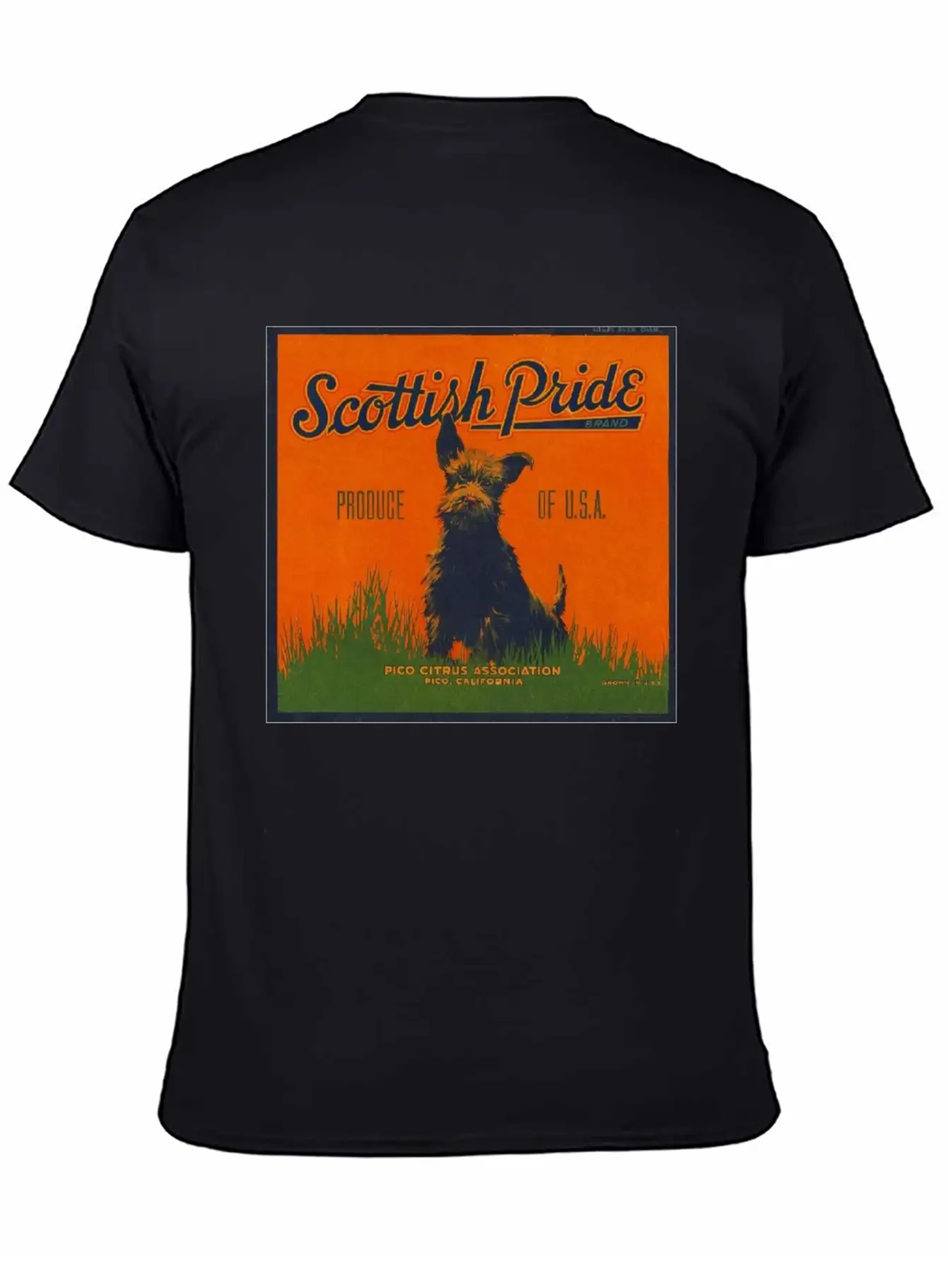 SCOTTISH PRIDE Modern Fit Casual T-Shirt – Clean And Versatile Design