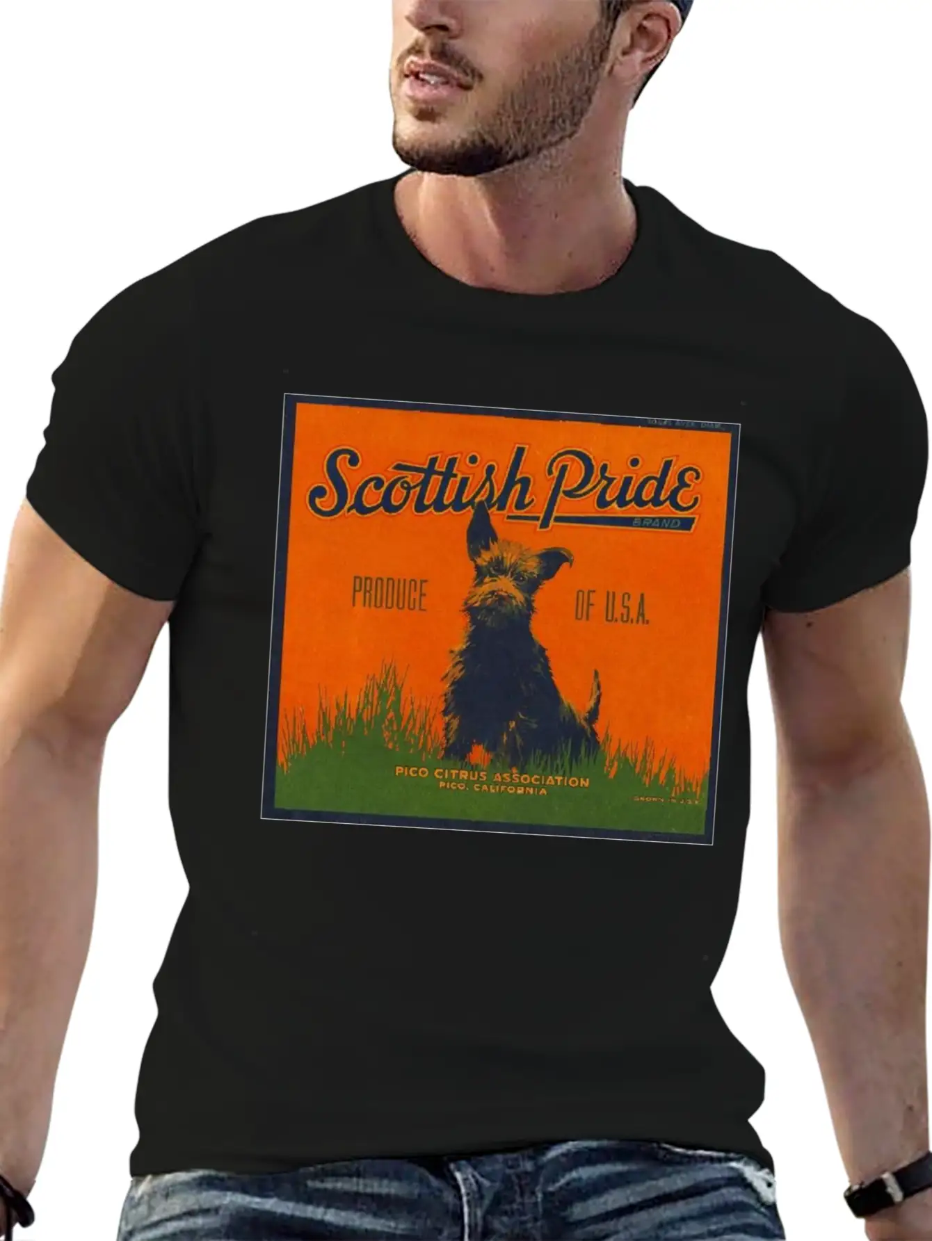 SCOTTISH PRIDE Modern Fit Casual T-Shirt – Clean And Versatile Design