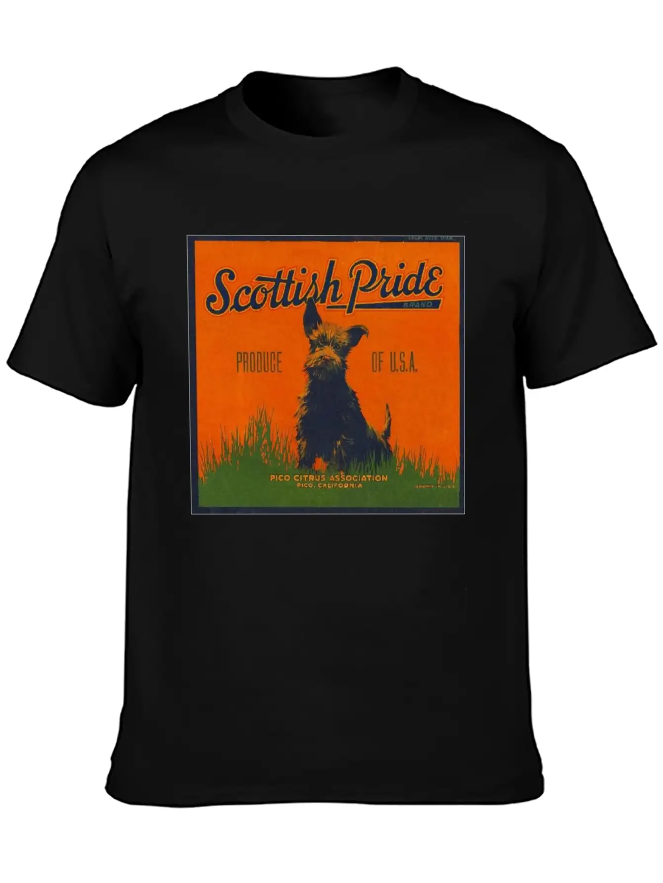 SCOTTISH PRIDE Modern Fit Casual T-Shirt – Clean And Versatile Design
