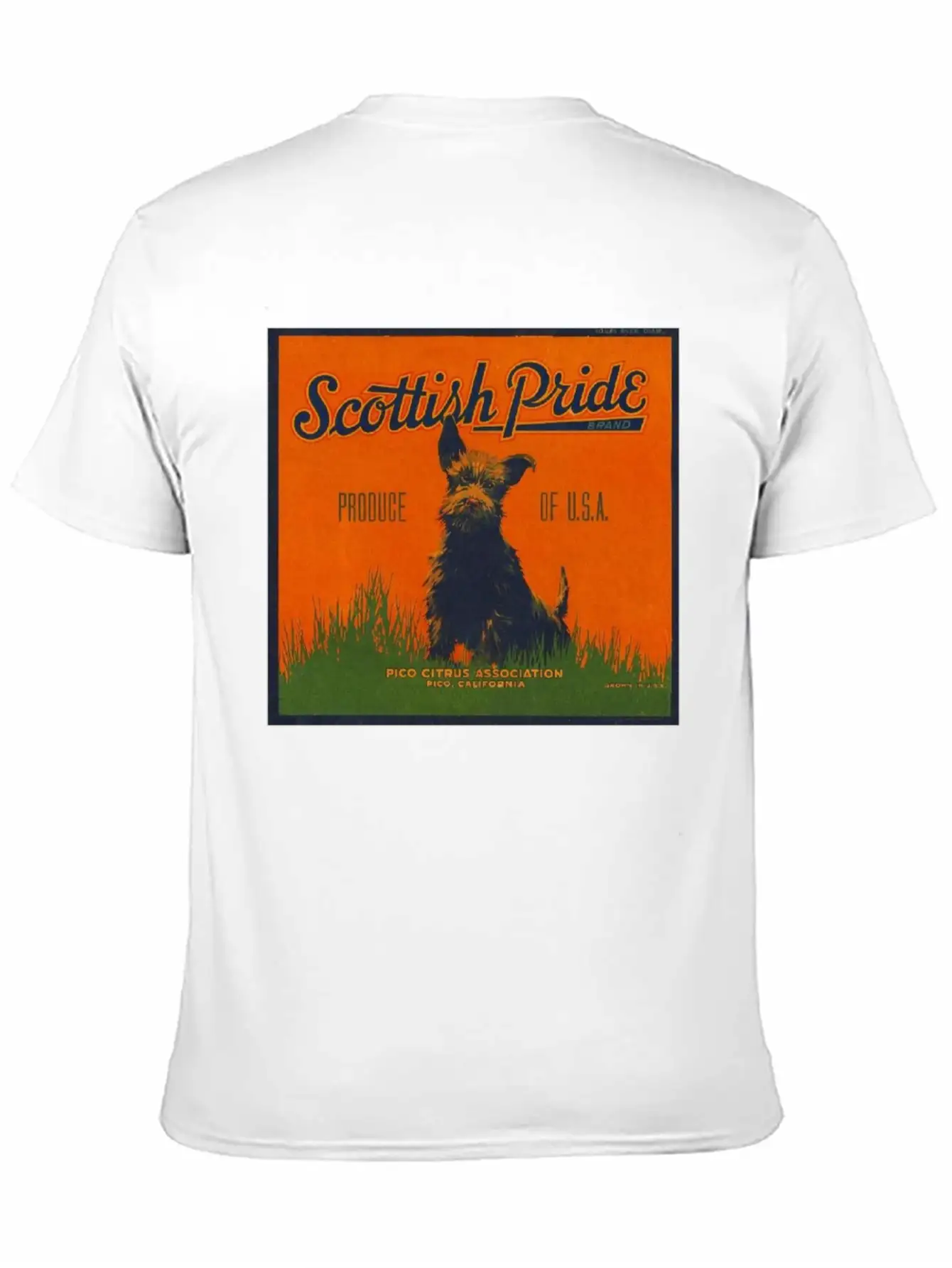 SCOTTISH PRIDE Modern Fit Casual T-Shirt – Clean And Versatile Design