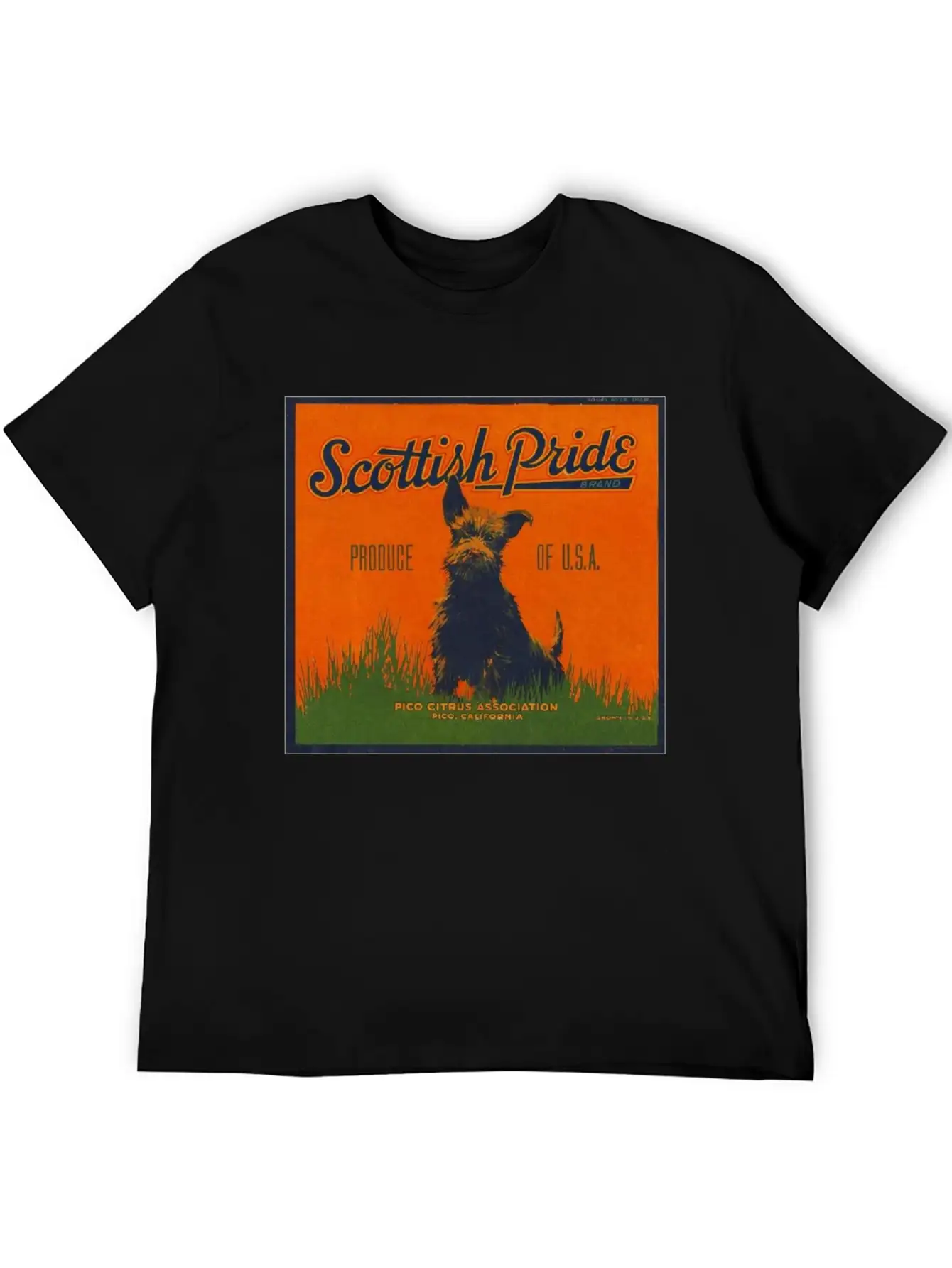 SCOTTISH PRIDE Modern Fit Casual T-Shirt – Clean And Versatile Design