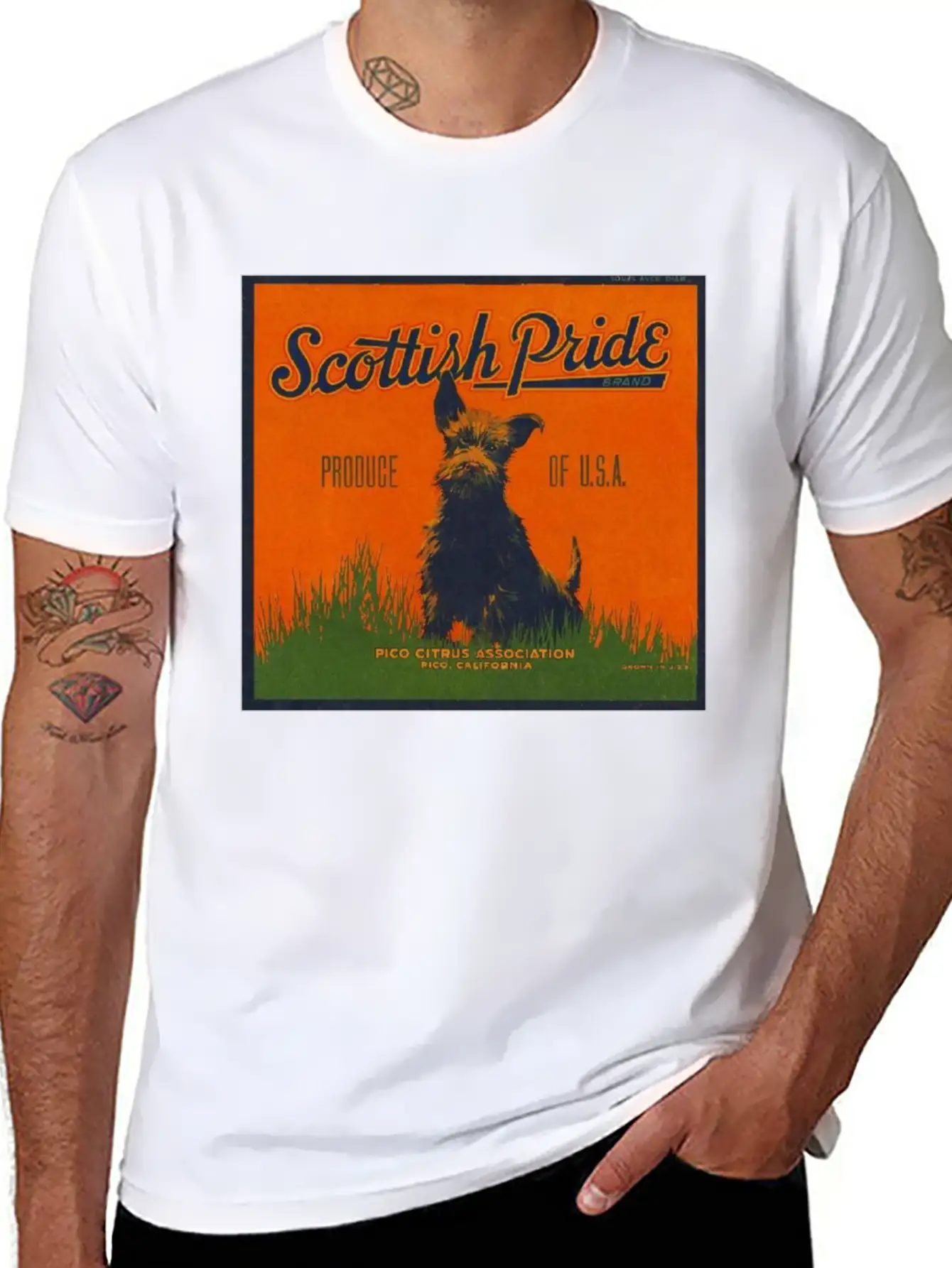 SCOTTISH PRIDE Modern Fit Casual T-Shirt – Clean And Versatile Design