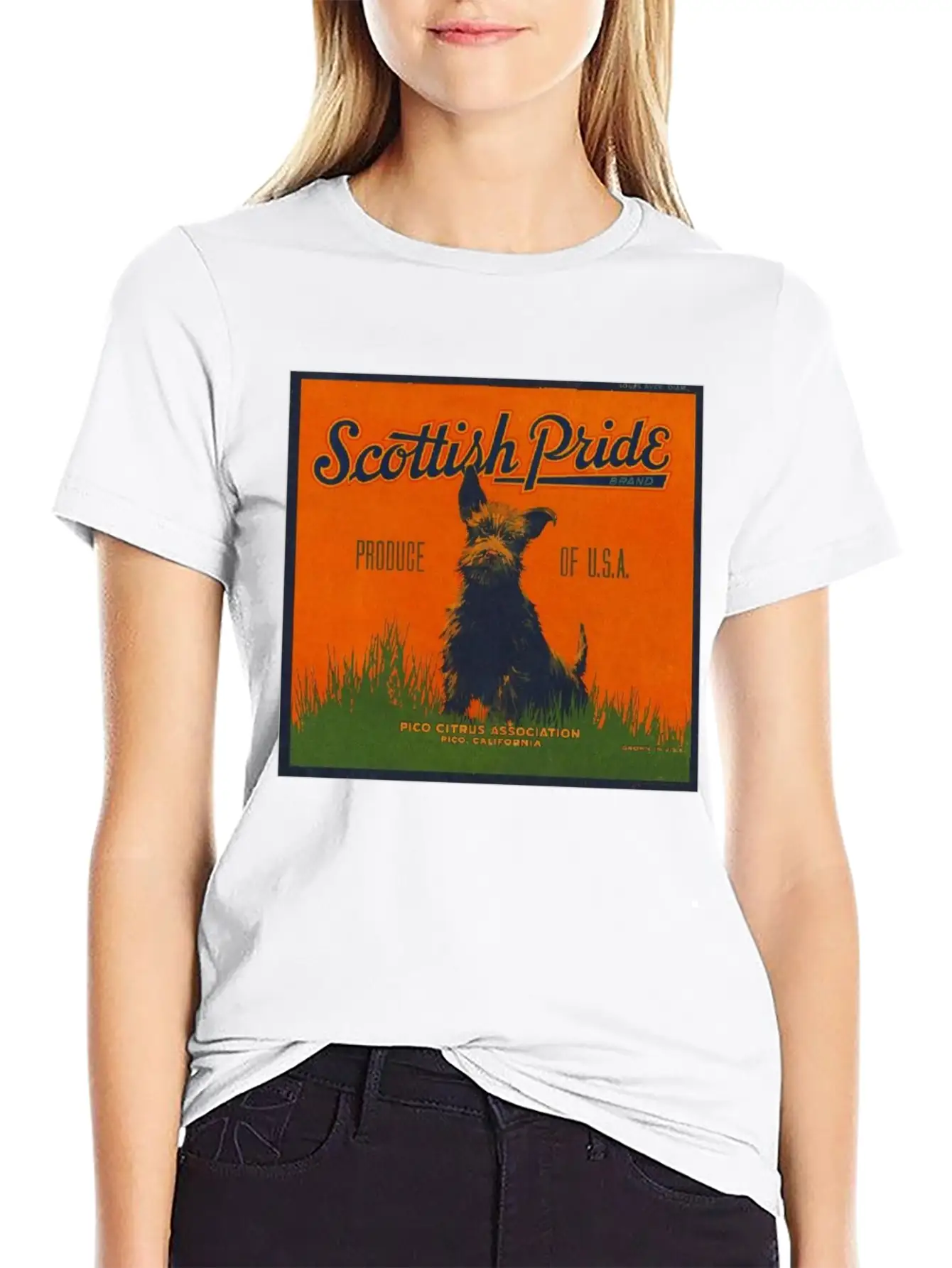 SCOTTISH PRIDE Modern Fit Casual T-Shirt – Clean And Versatile Design