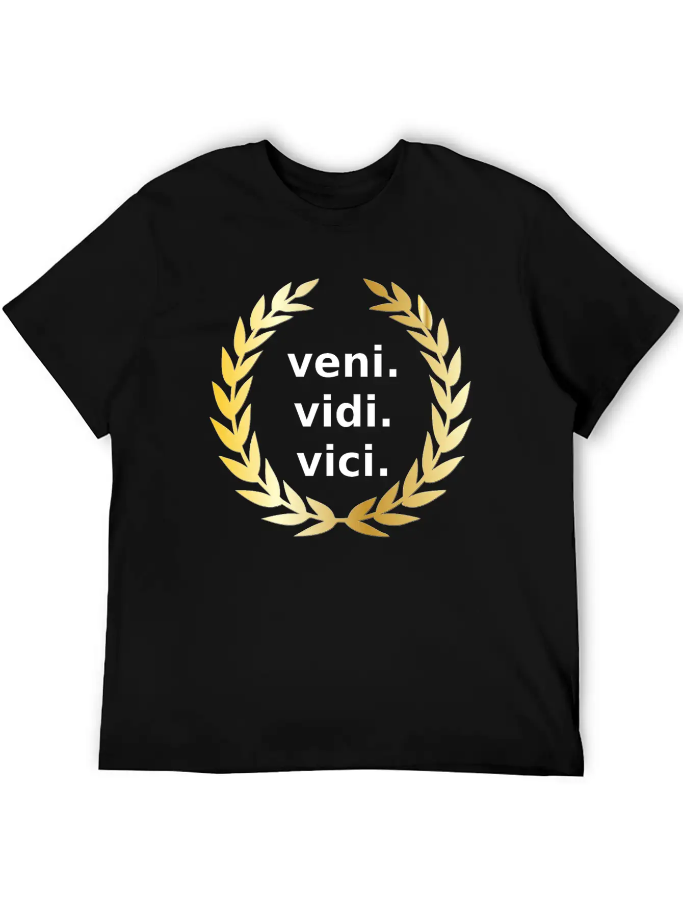 Veni Vidi Vici Victory Unisex Casual T-Shirt – Clean Design For Daily Comfort