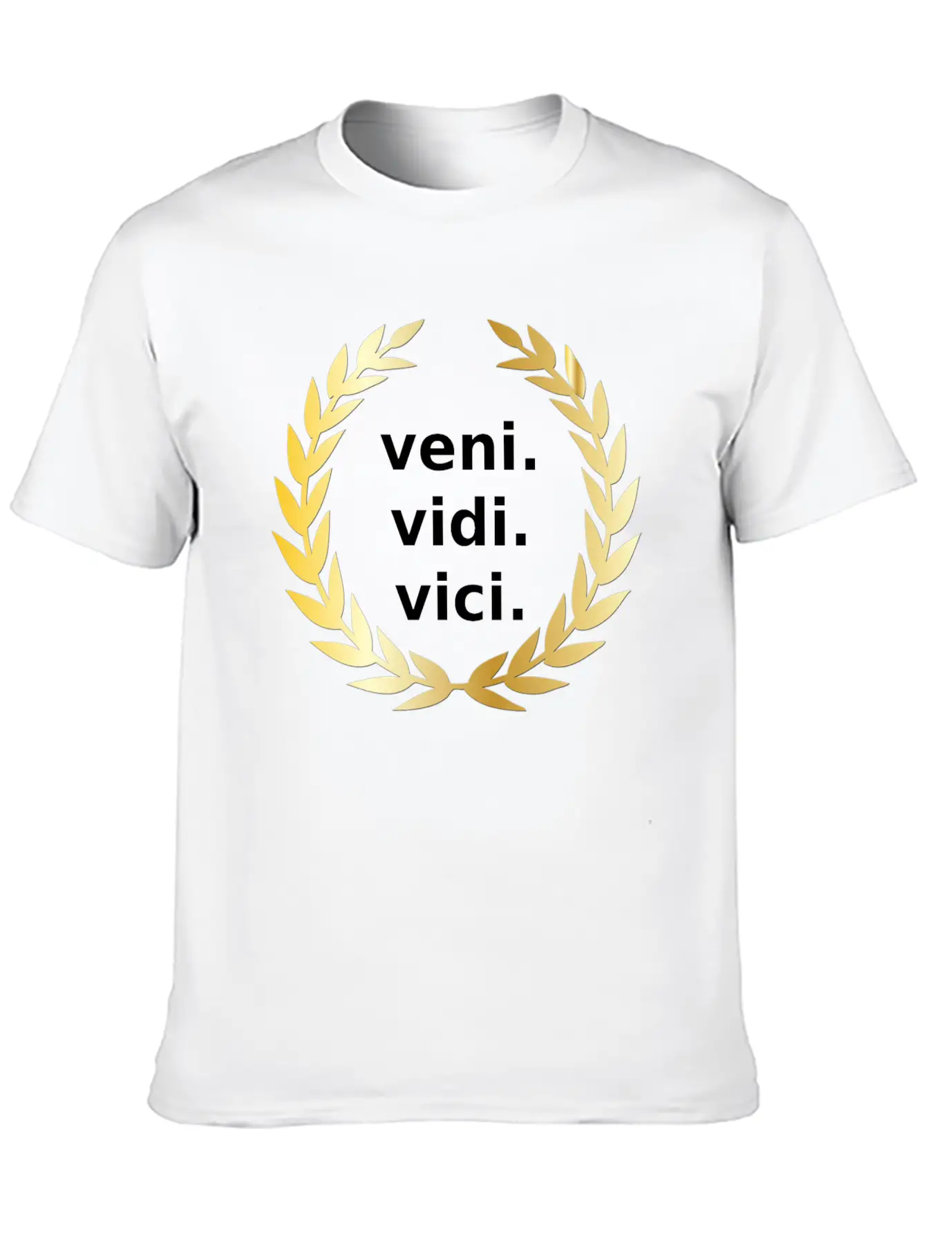 Veni Vidi Vici Victory Unisex Casual T-Shirt – Clean Design For Daily Comfort