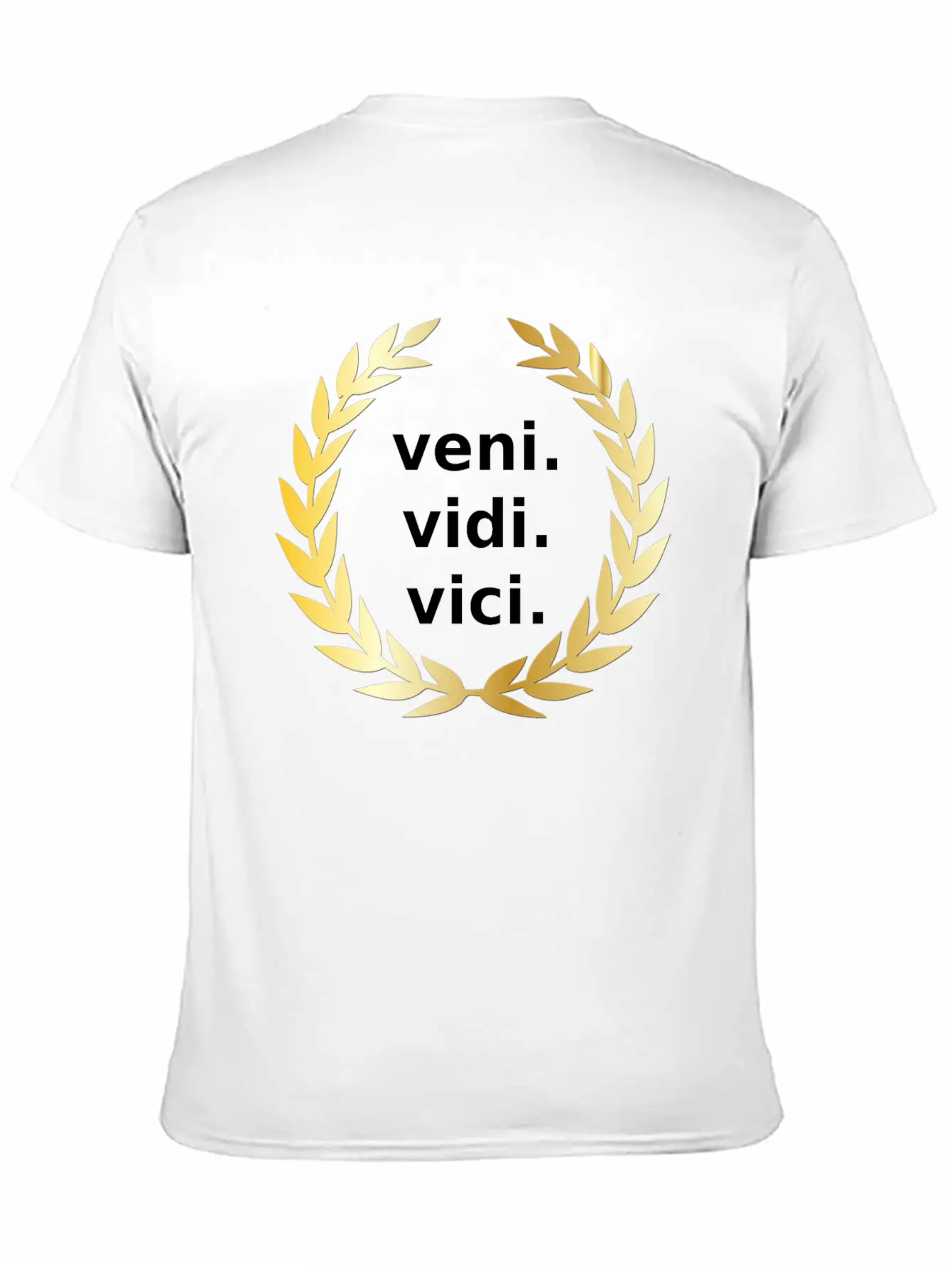 Veni Vidi Vici Victory Unisex Casual T-Shirt – Clean Design For Daily Comfort