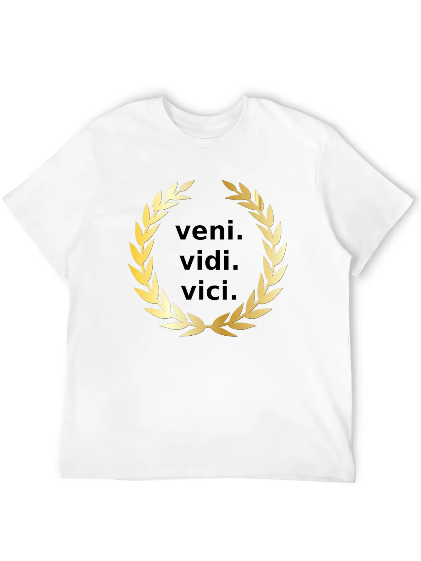 Veni Vidi Vici Victory Unisex Casual T-Shirt – Clean Design For Daily Comfort