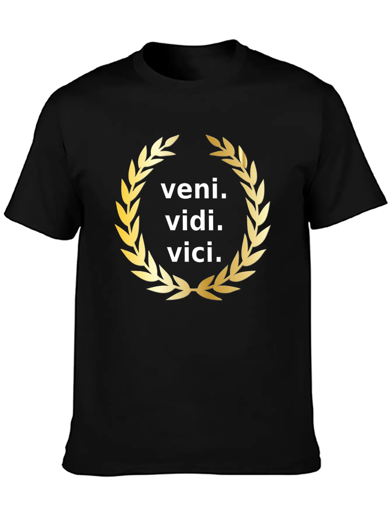 Veni Vidi Vici Victory Unisex Casual T-Shirt – Clean Design For Daily Comfort