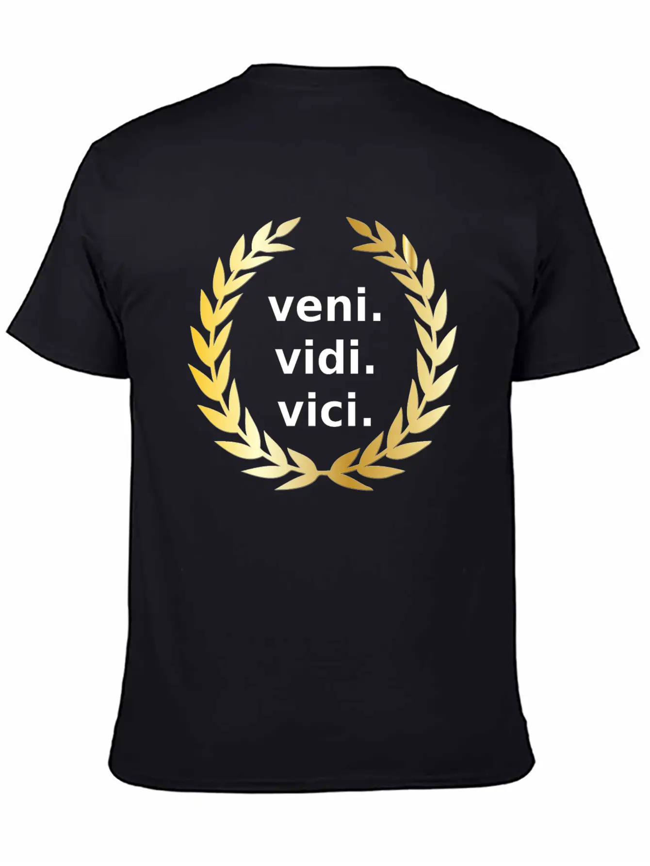 Veni Vidi Vici Victory Unisex Casual T-Shirt – Clean Design For Daily Comfort