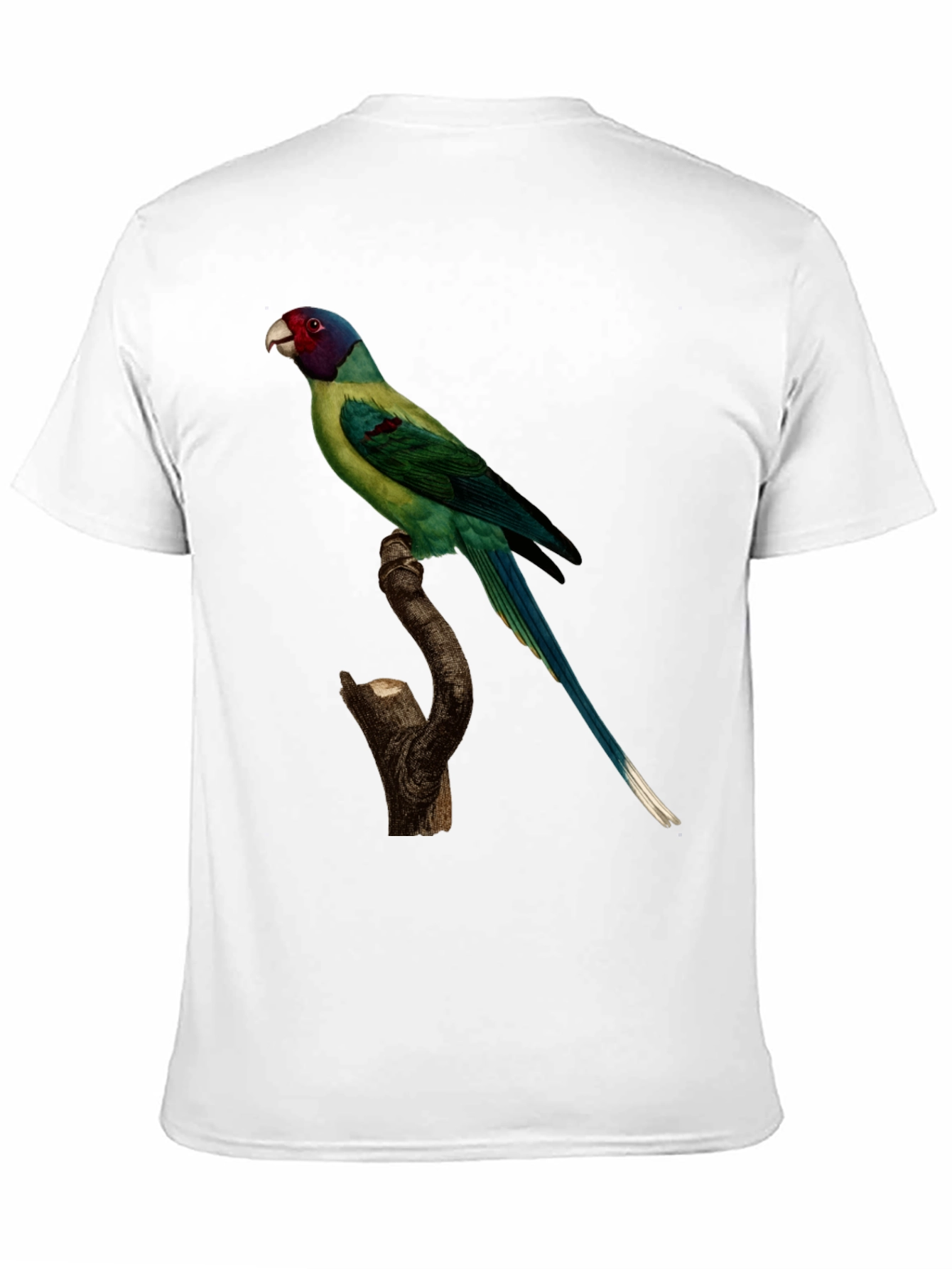 Parrot Print Black T-Shirt - Unique Bird Graphic Tee