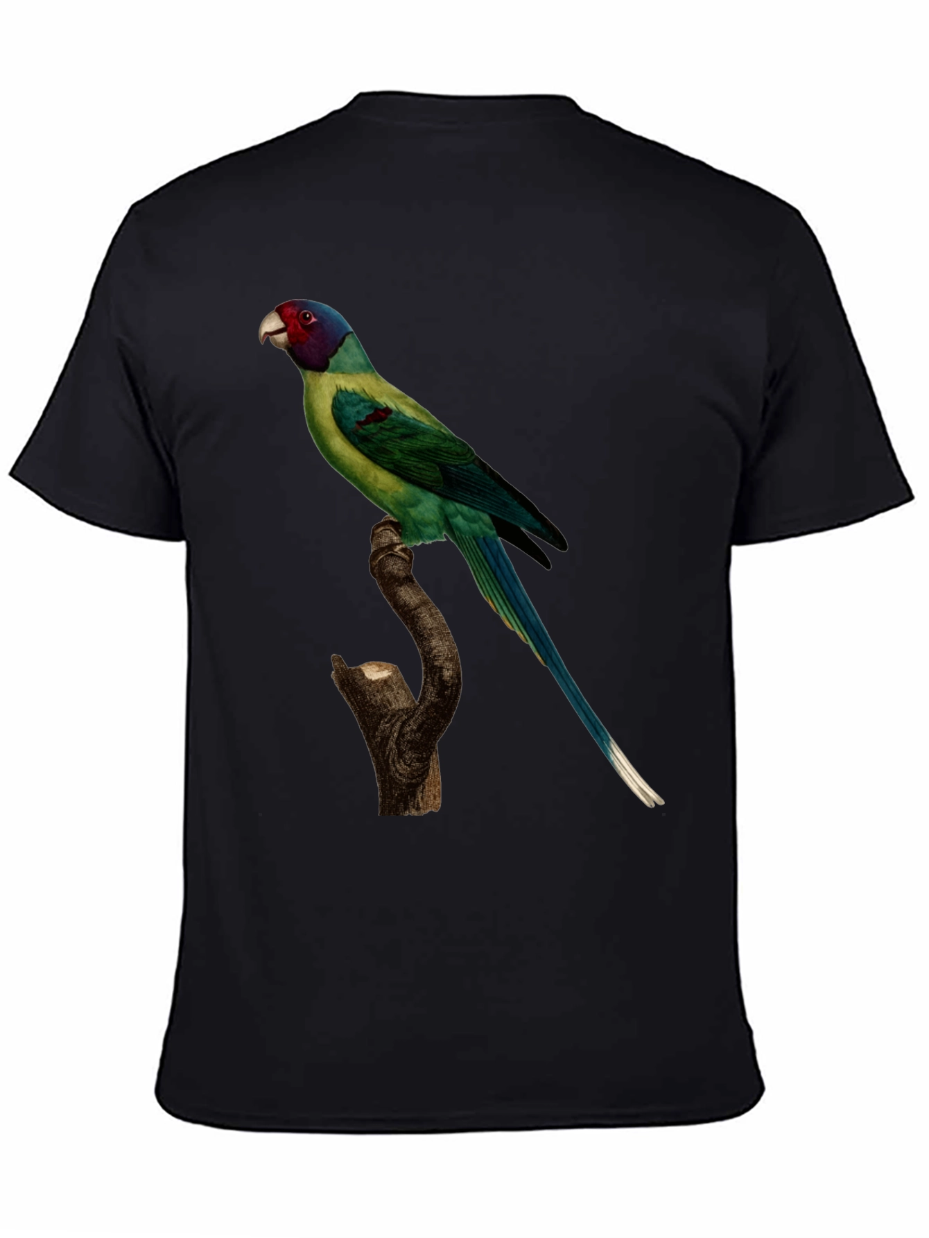 Parrot Print Black T-Shirt - Unique Bird Graphic Tee