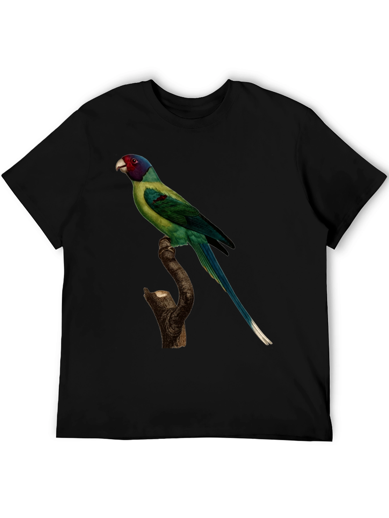 Parrot Print Black T-Shirt - Unique Bird Graphic Tee
