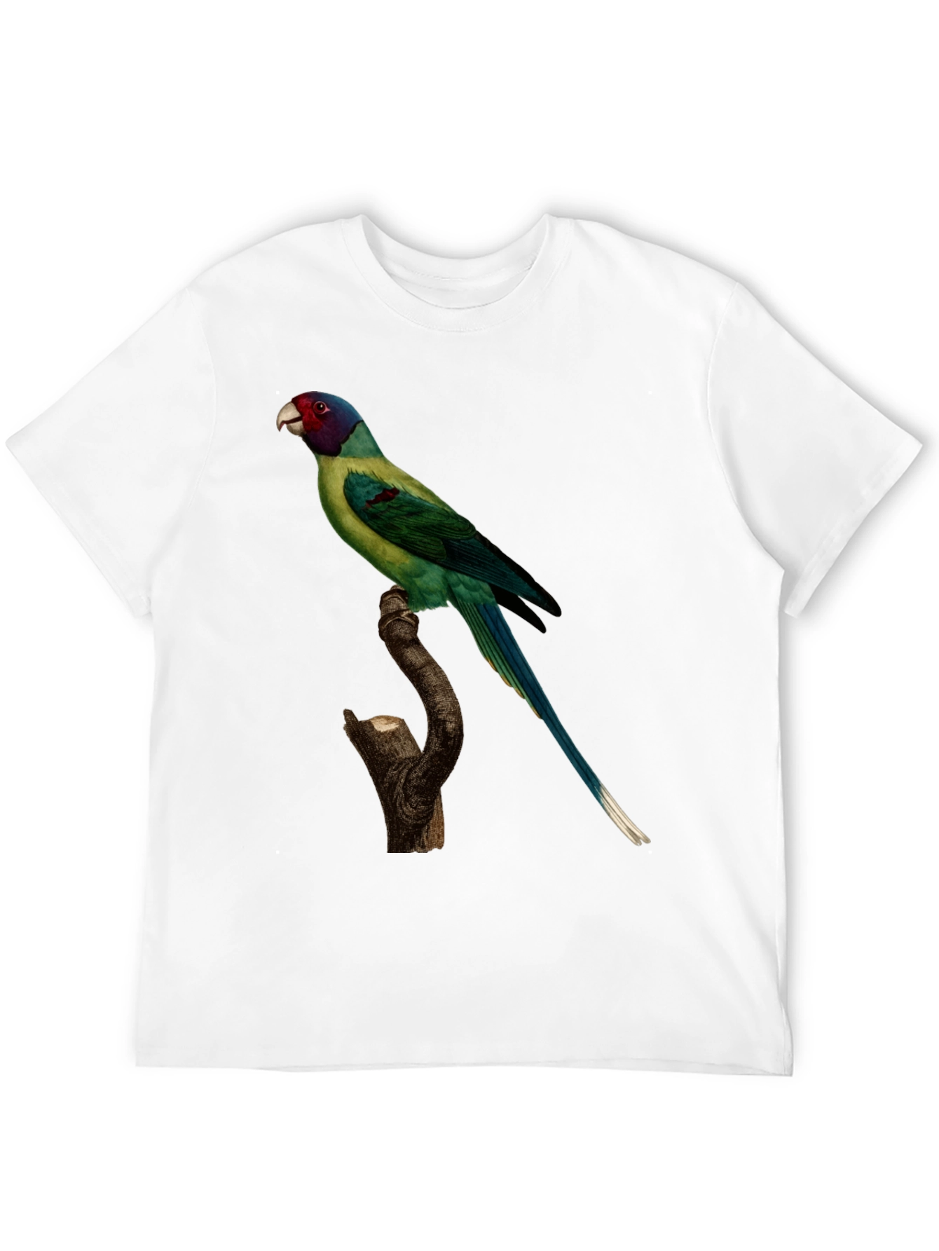 Parrot Print Black T-Shirt - Unique Bird Graphic Tee
