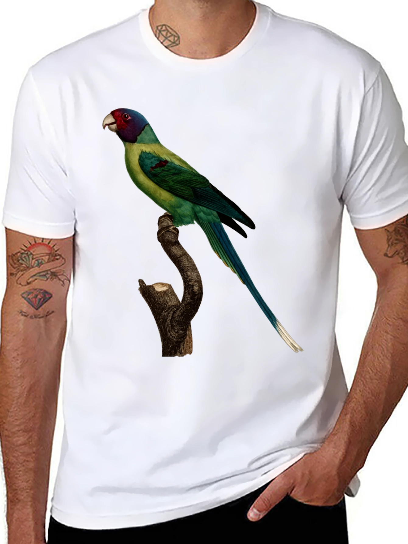 Parrot Print Black T-Shirt - Unique Bird Graphic Tee