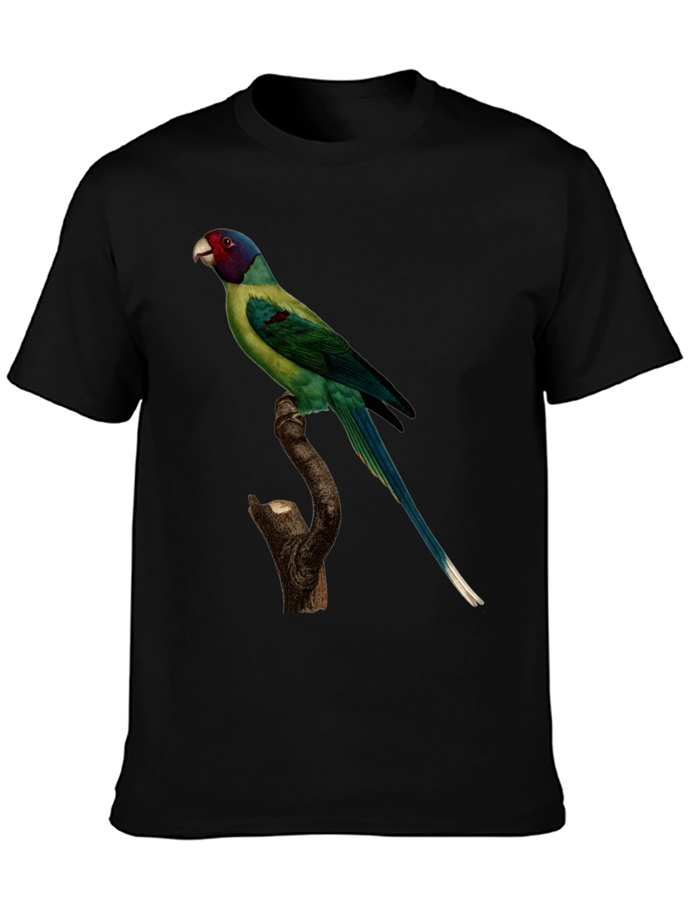 Parrot Print Black T-Shirt - Unique Bird Graphic Tee